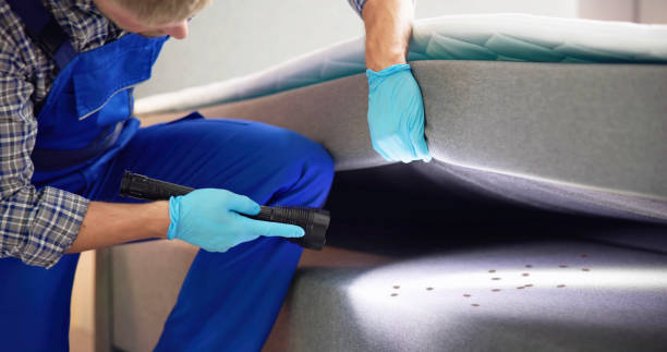 Professional Pest Control in West Wyoming, PA